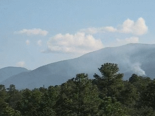Shaggy Peak Fire 2009